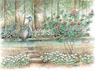 <h6>New!</h6> Great Blue Heron - Limited Edition Print