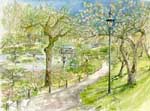 Japanese Gardens, Arboretum, Seattle Limited Edition Print