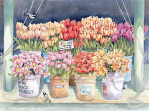 Tulips in the Pike Place Market, an annual delight