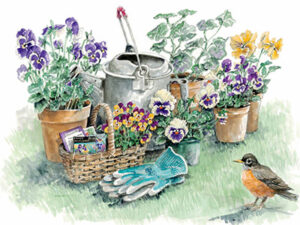 Backyard gardening, Robin included - Limited Edition Print