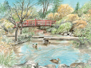 The beauty and simplicity of a Japanese garden - Limited Edition Print