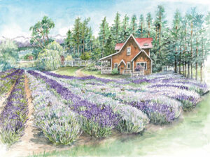 <h6>New!</h6> Purple Haze Lavender Farm - Limited Edition Print