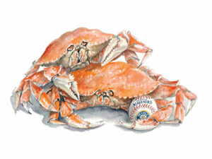 Time to "Play Ball" as spring training begins - Limited Edition Print