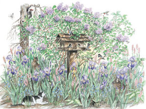 A scene from the artist's garden - Limited Edition Print