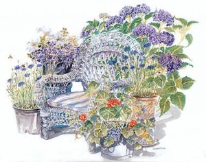 Hydrangeas Limited Edition Print